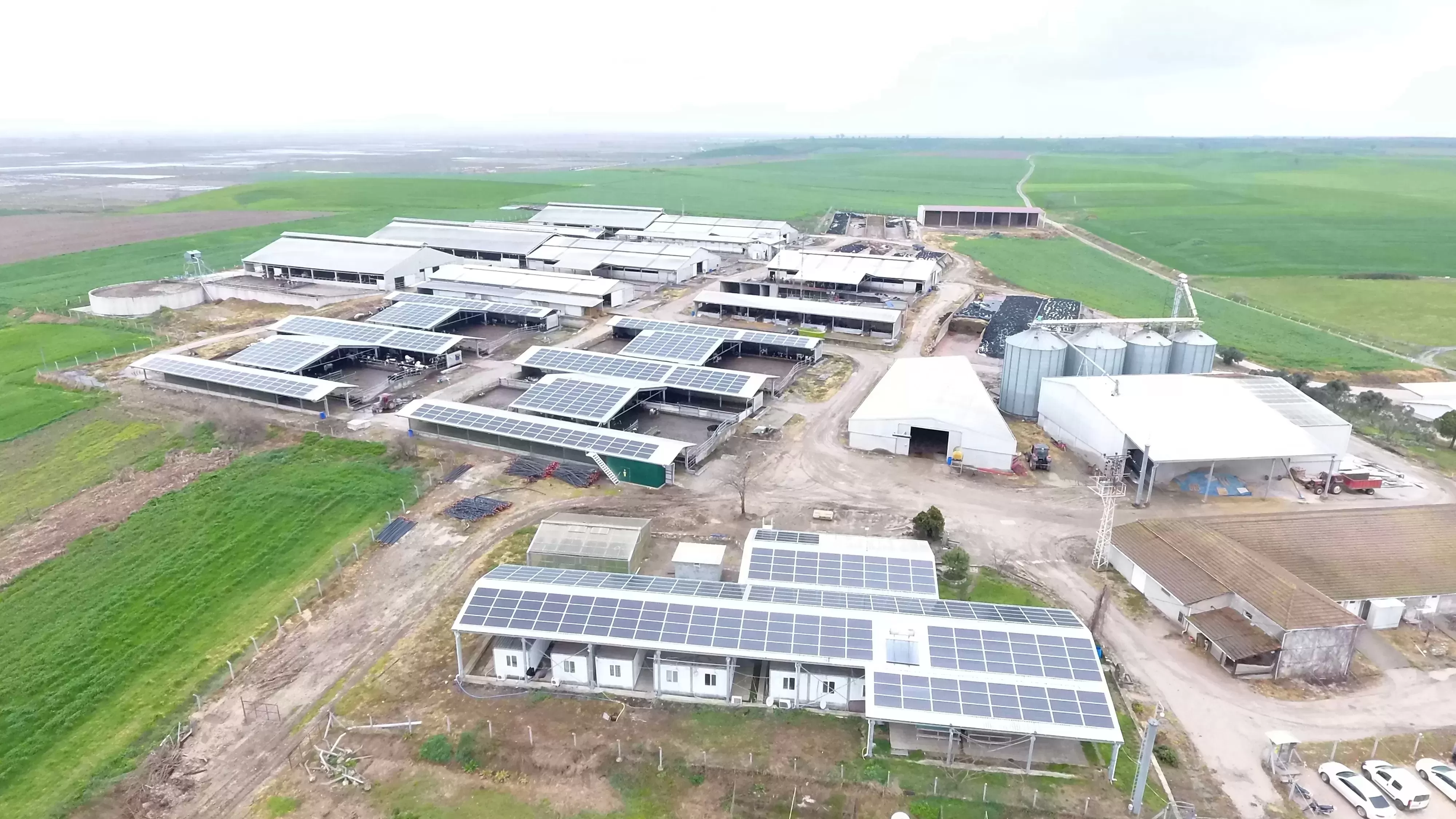 TOKUÇ TARIM - BİGA